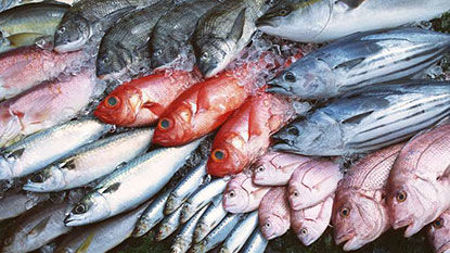 Imagen para la categoría Pescado azul