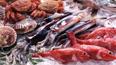 Imagen para la categoría Pescados y mariscos congelados