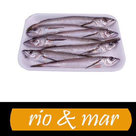 Imagen de Pescadilla de enroscar